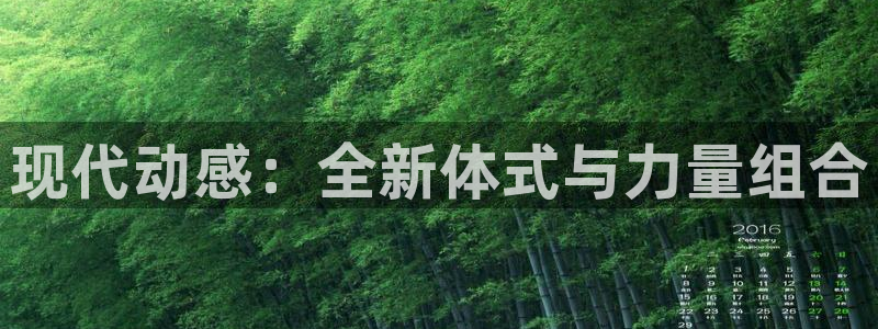 杏宇：现代动感：全新体式与力量组合