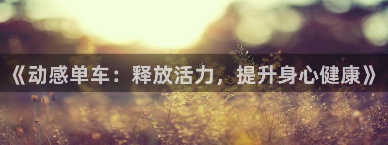 杏宇体育老板是谁：《动感单车：释放活力，提升身心健康》