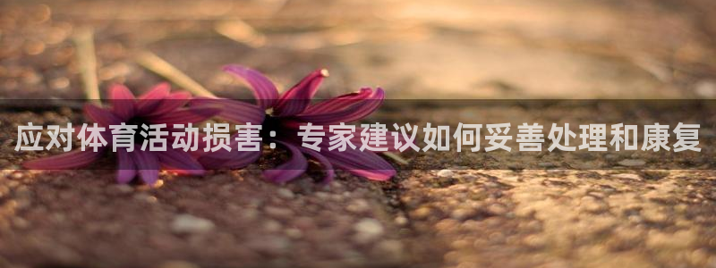 东莞市杏宇电子科技有限公司：应对体育活动损害：专家建议如何妥善处理和康复